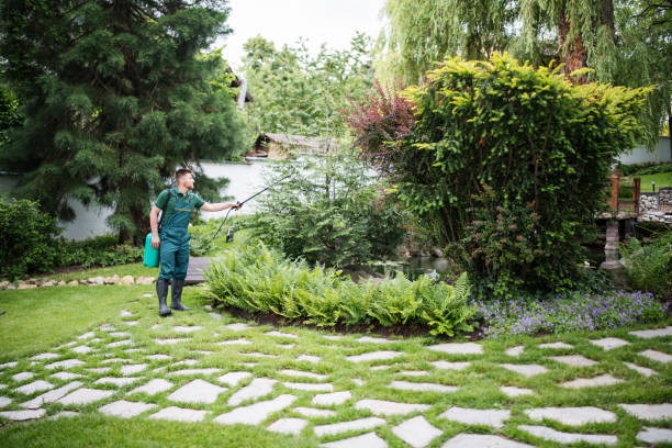 Best Pest Inspection Near Me  in Kings Beach, CA