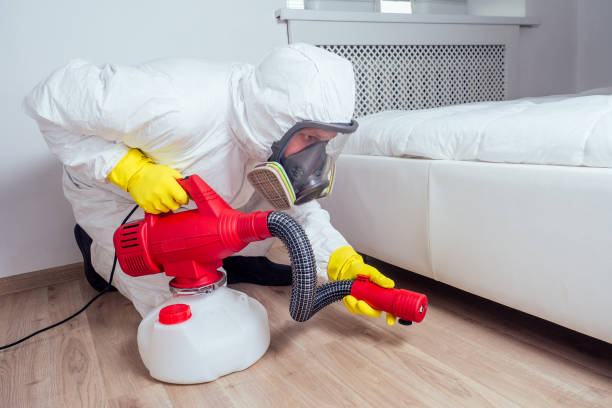 Best Best Pest Control Companies  in Kings Beach, CA