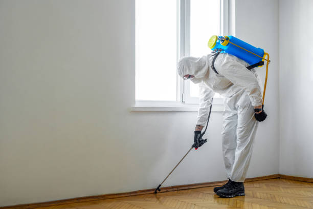 Kings Beach, CA Pest Control Company