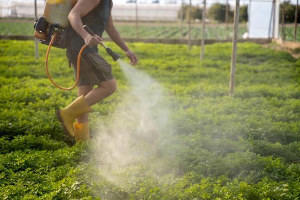 Best Wildlife Control Services  in Kings Beach, CA